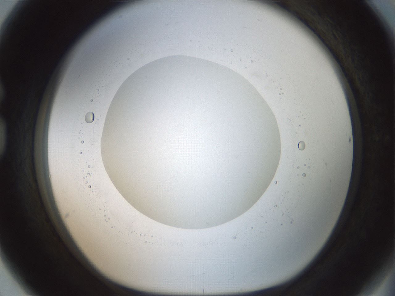 folderID602_plateID1602_batchID6722_wellNum80_profileID1_d1_r104978_ef.jpg