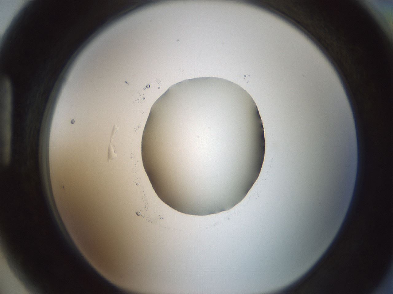 folderID602_plateID1602_batchID6722_wellNum89_profileID1_d1_r104996_ef.jpg