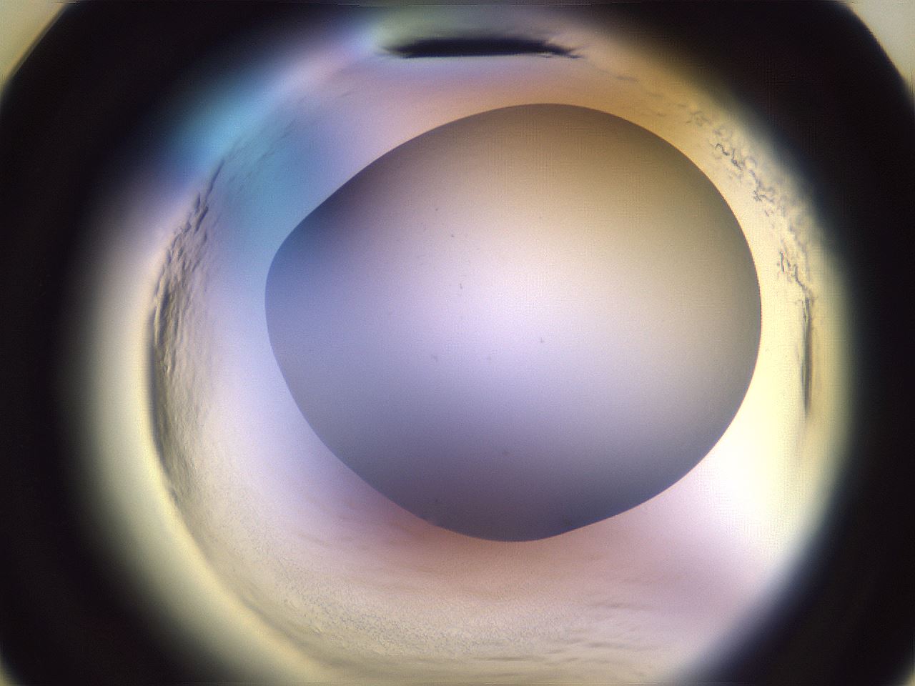 folderID602_plateID2602_batchID13166_wellNum11_profileID1_d3_r200489_ef.jpg
