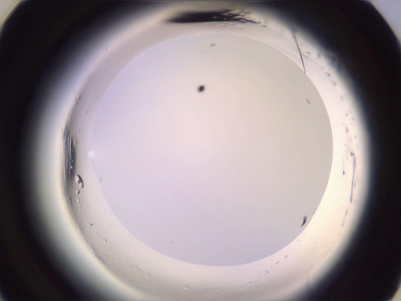 folderID602_plateID2602_batchID13166_wellNum21_profileID1_d3_r200519_ef.jpg