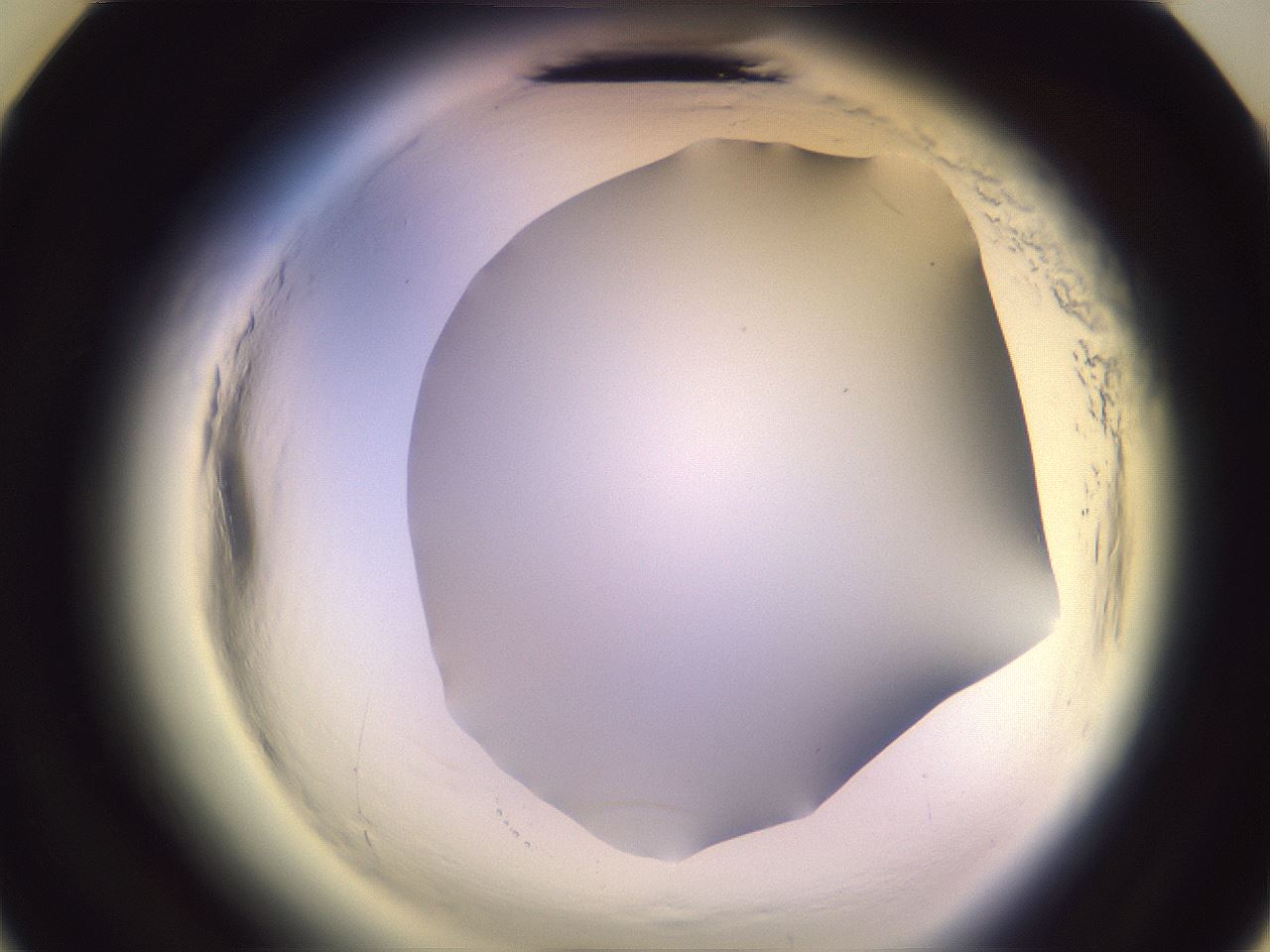 folderID602_plateID2602_batchID13166_wellNum23_profileID1_d3_r200525_ef.jpg