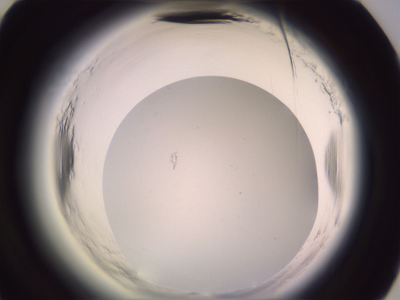 folderID602_plateID2602_batchID13166_wellNum67_profileID1_d3_r200657_ef.jpg