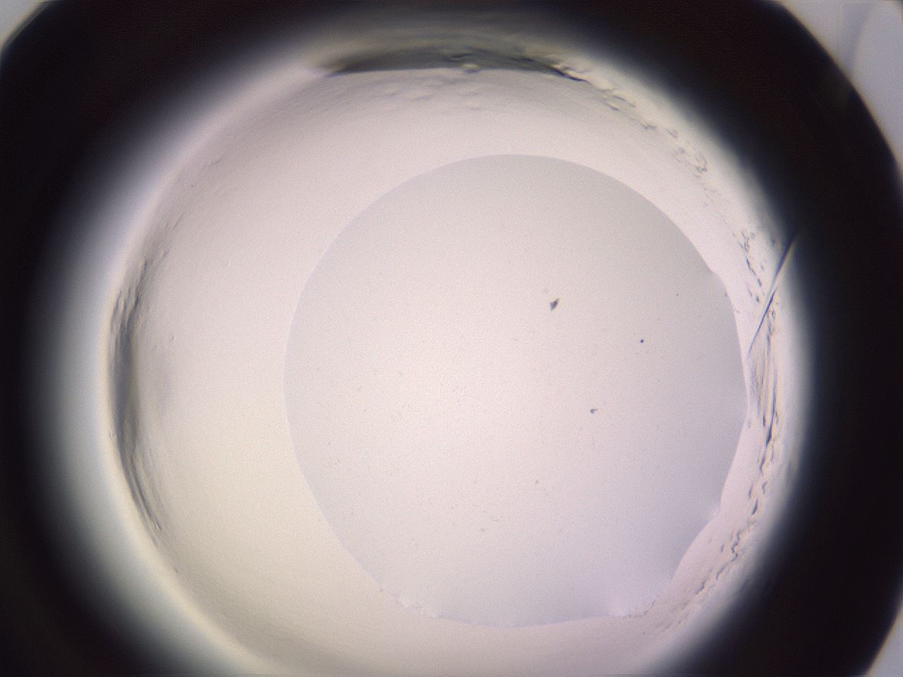 folderID602_plateID2602_batchID13166_wellNum94_profileID1_d1_r200736_ef.jpg