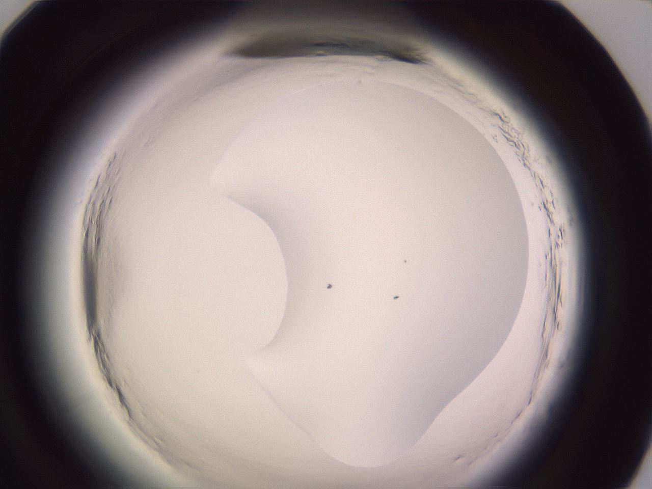 folderID602_plateID2602_batchID13166_wellNum95_profileID1_d1_r200739_ef.jpg