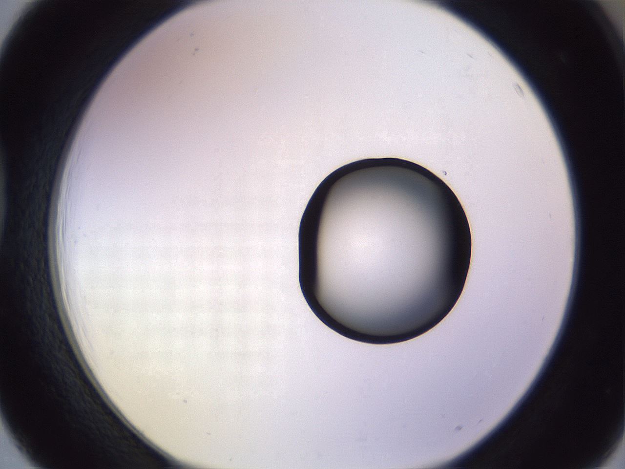 folderID603_plateID1603_batchID6730_wellNum39_profileID1_d1_r106432_ef.jpg
