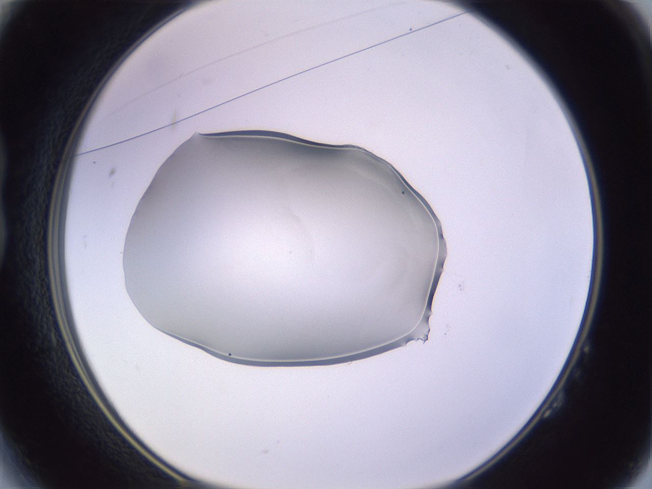 folderID603_plateID1603_batchID6730_wellNum14_profileID1_d1_r106382_ef.jpg