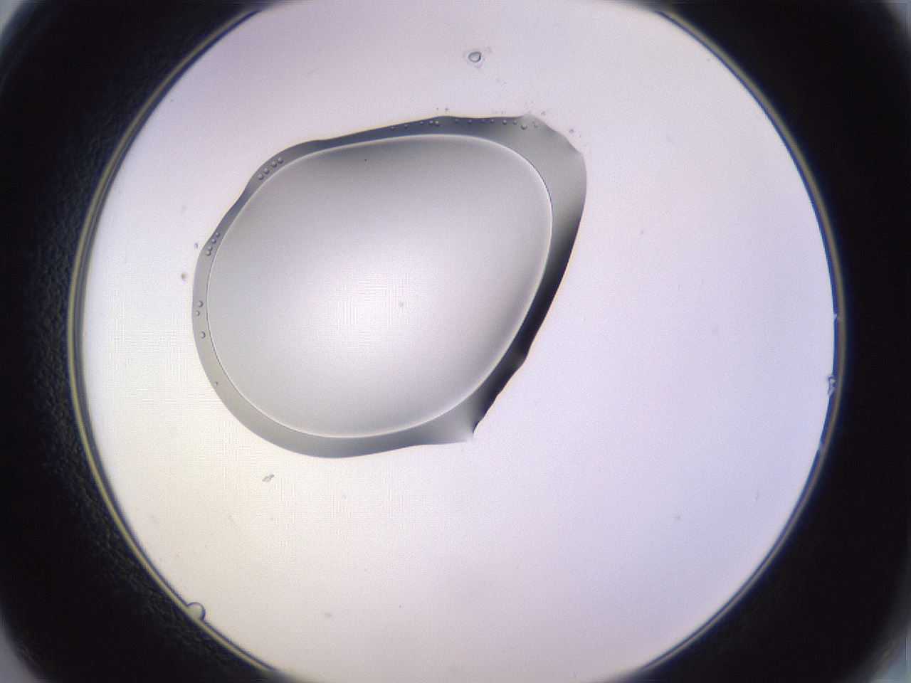 folderID603_plateID1603_batchID6730_wellNum14_profileID1_d2_r106383_ef.jpg