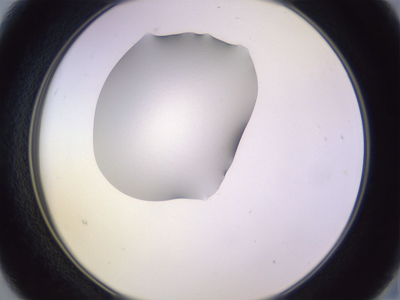 folderID603_plateID1603_batchID6730_wellNum15_profileID1_d2_r106385_ef.jpg