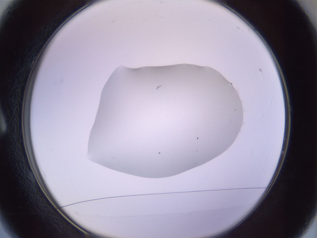 folderID603_plateID1603_batchID6730_wellNum1_profileID1_d1_r106356_ef.jpg