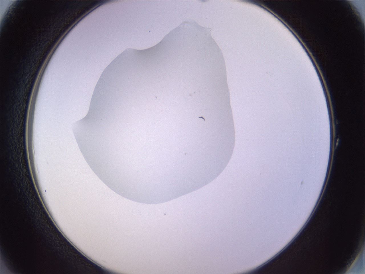 folderID603_plateID1603_batchID6730_wellNum1_profileID1_d2_r106357_ef.jpg