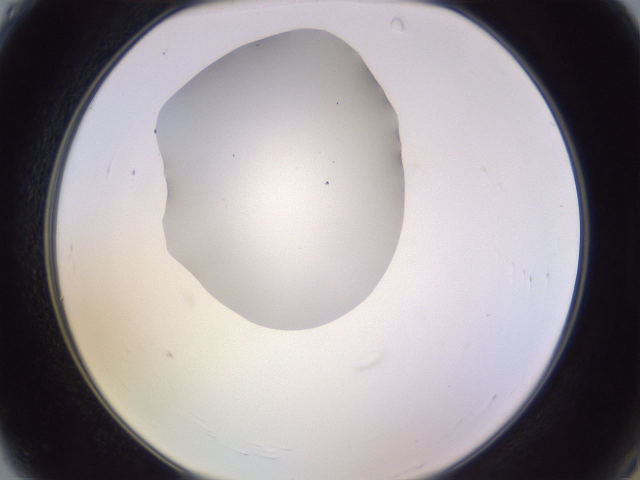 folderID603_plateID1603_batchID6730_wellNum4_profileID1_d2_r106363_ef.jpg