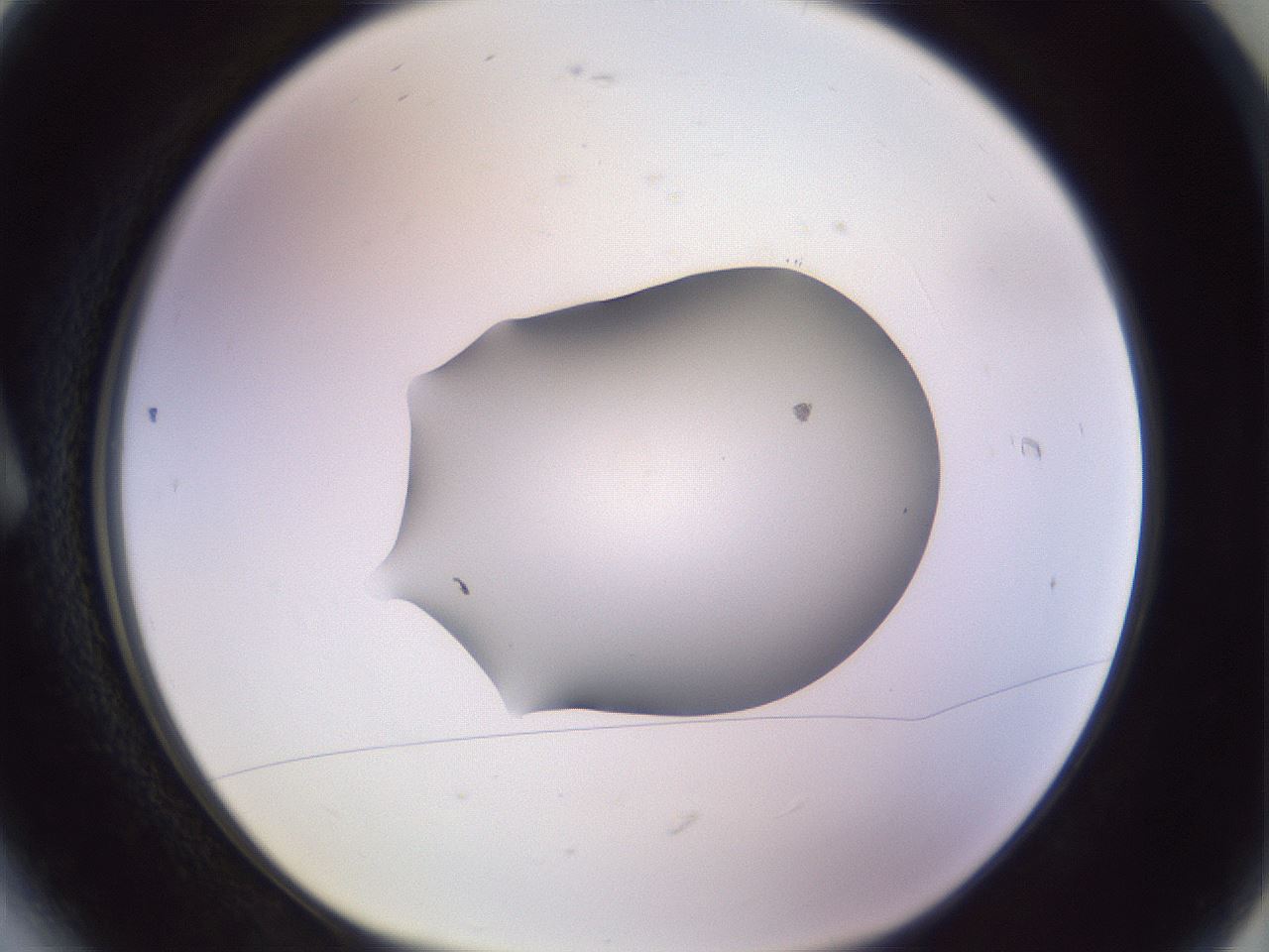 folderID603_plateID1603_batchID6730_wellNum6_profileID1_d1_r106366_ef.jpg