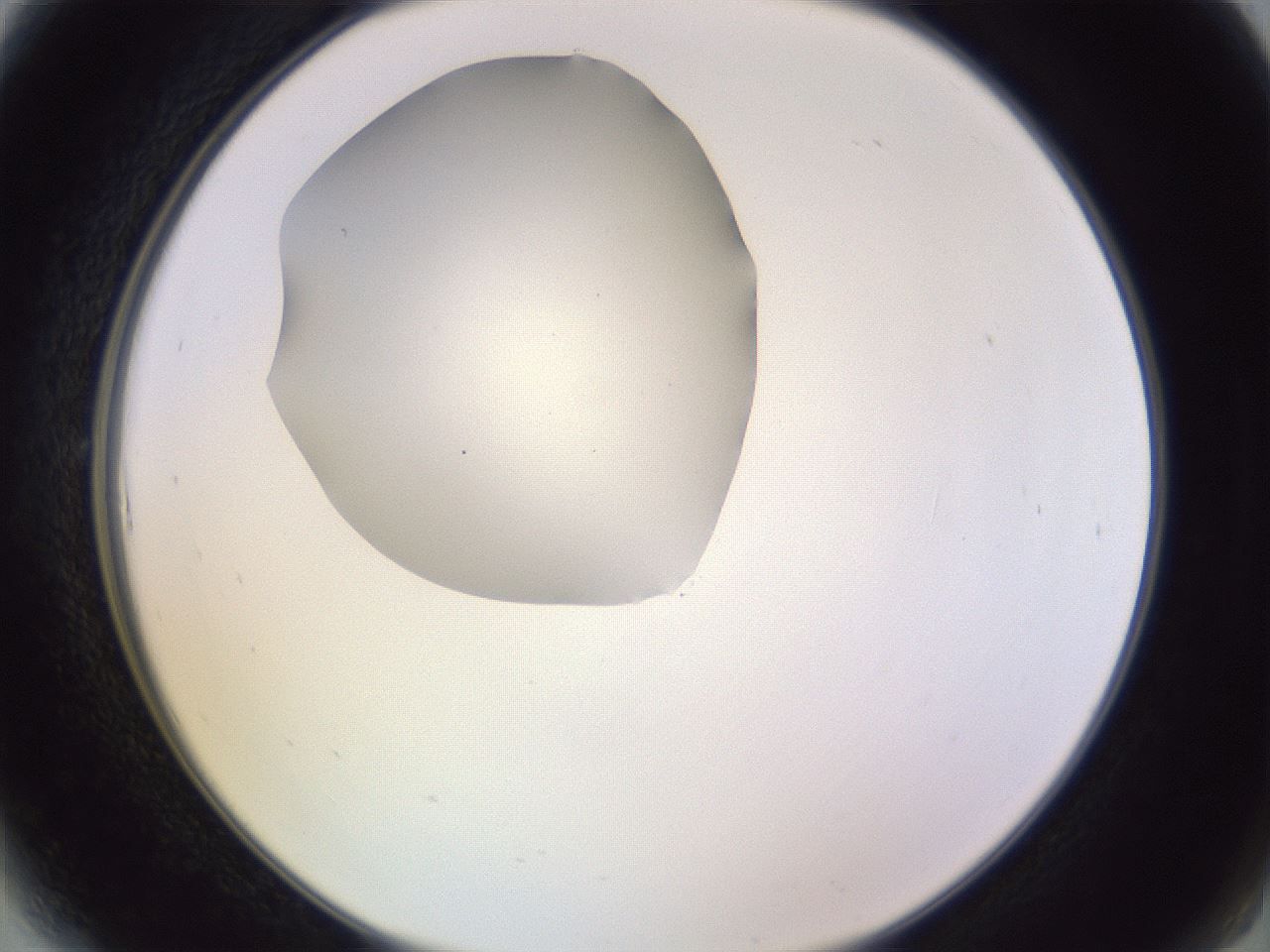 folderID603_plateID1603_batchID6730_wellNum6_profileID1_d2_r106367_ef.jpg