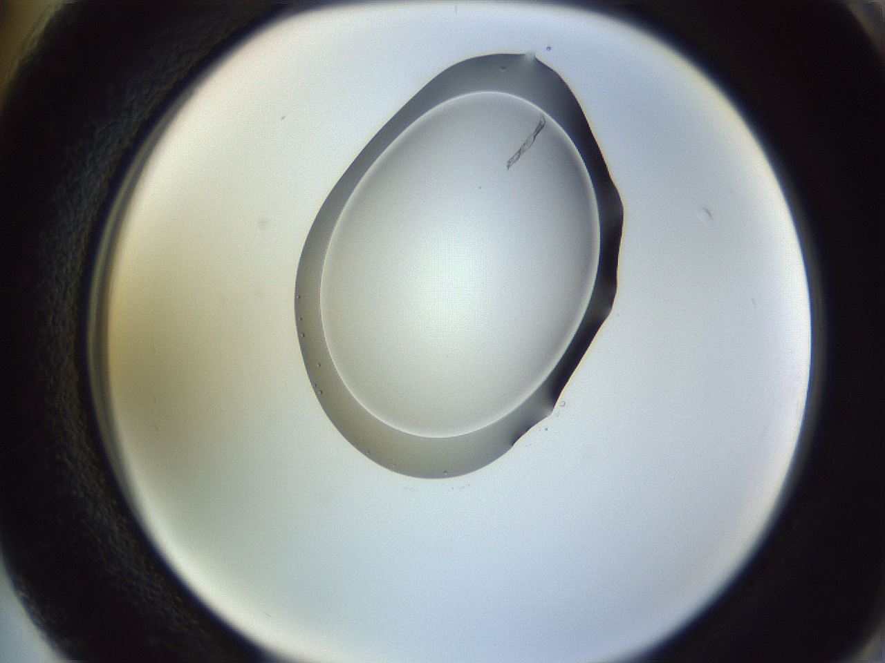 folderID603_plateID1603_batchID6730_wellNum74_profileID1_d2_r106503_ef.jpg