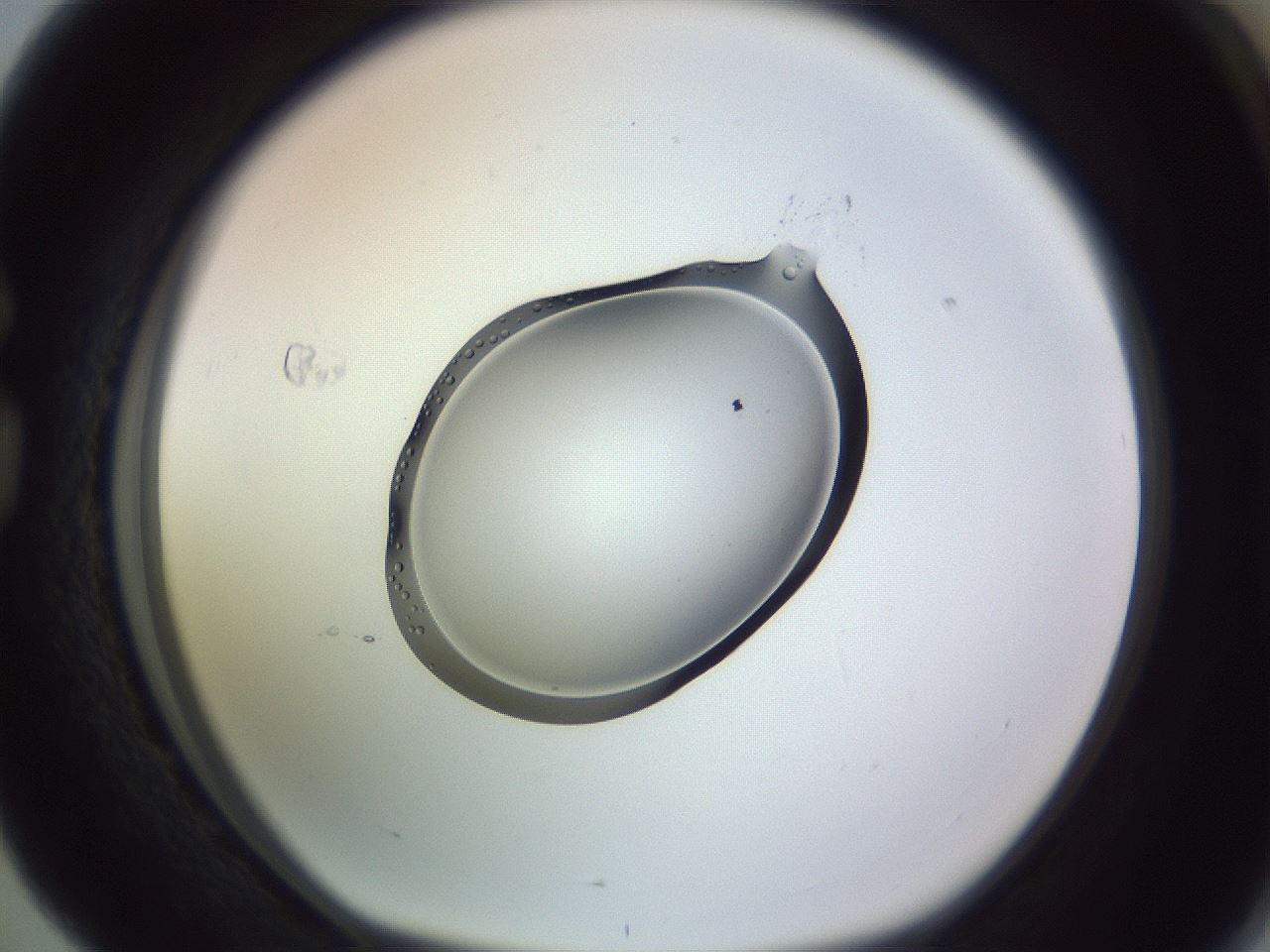 folderID603_plateID1603_batchID6730_wellNum76_profileID1_d1_r106506_ef.jpg