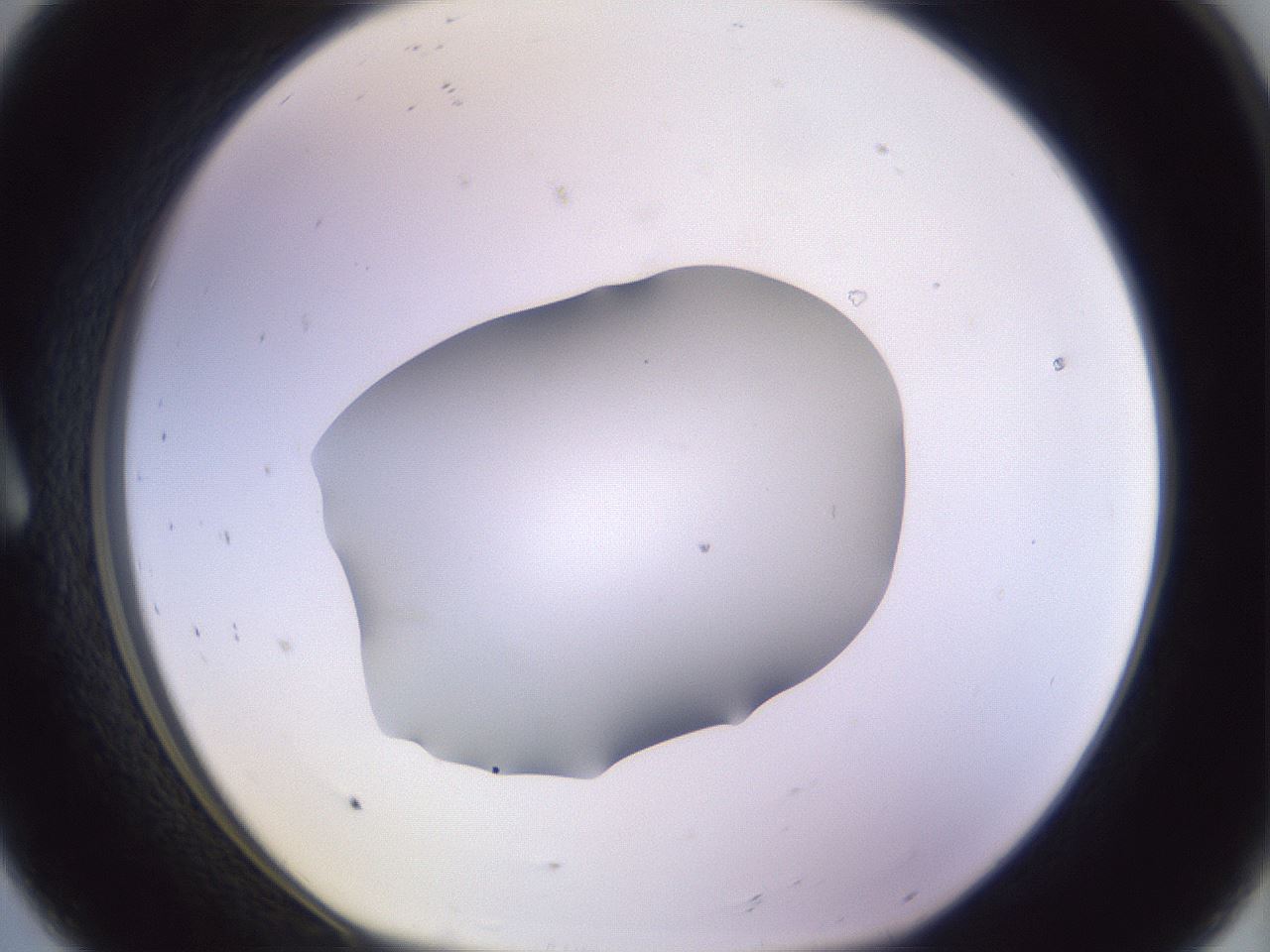 folderID603_plateID1603_batchID6730_wellNum8_profileID1_d1_r106370_ef.jpg