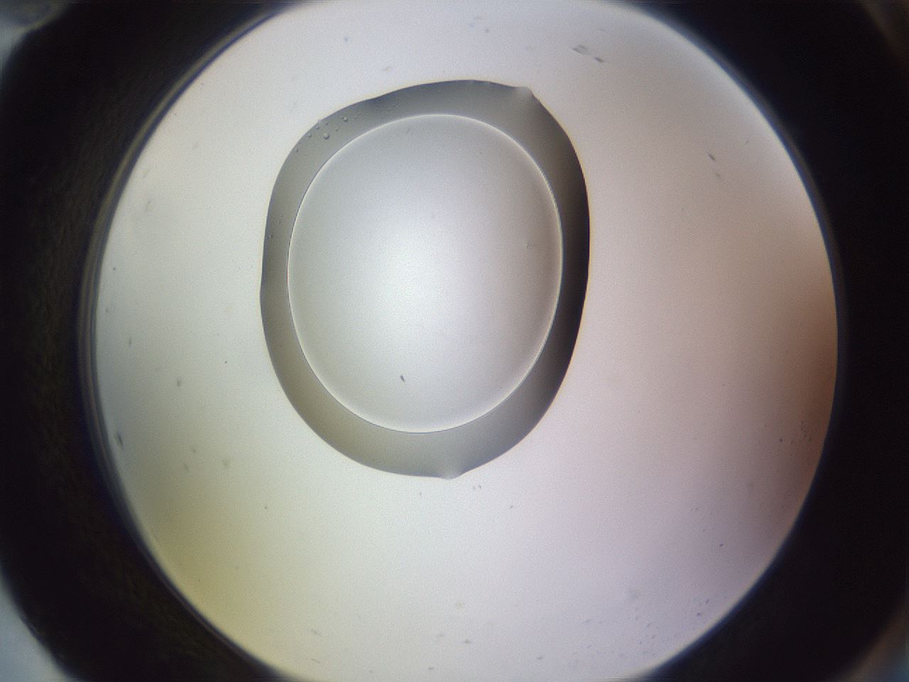 folderID603_plateID1603_batchID6730_wellNum94_profileID1_d2_r106543_ef.jpg