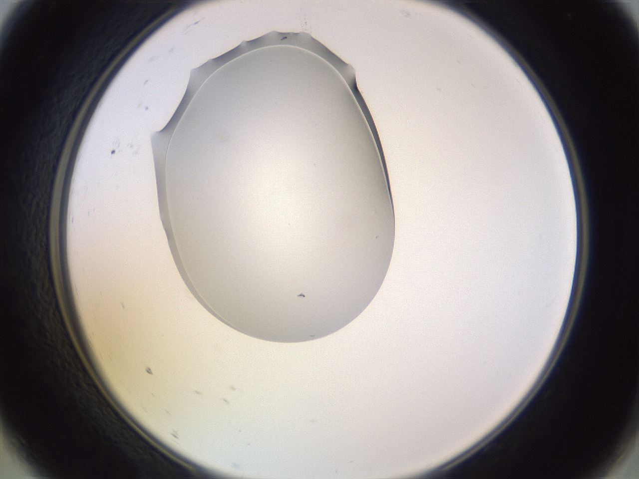 folderID603_plateID1603_batchID6730_wellNum9_profileID1_d2_r106373_ef.jpg