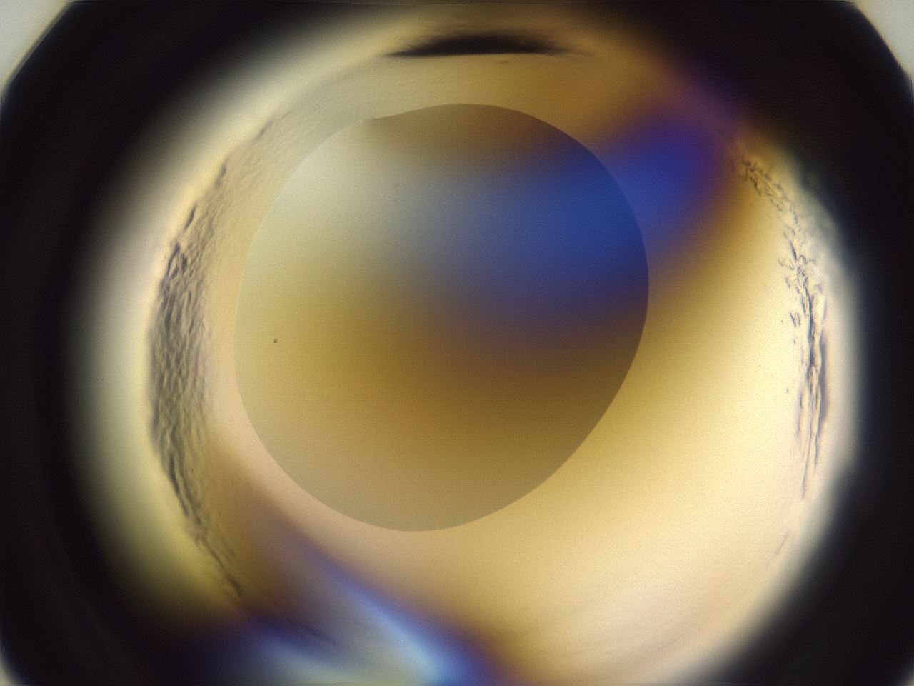 folderID603_plateID2603_batchID13168_wellNum11_profileID1_d2_r201352_ef.jpg