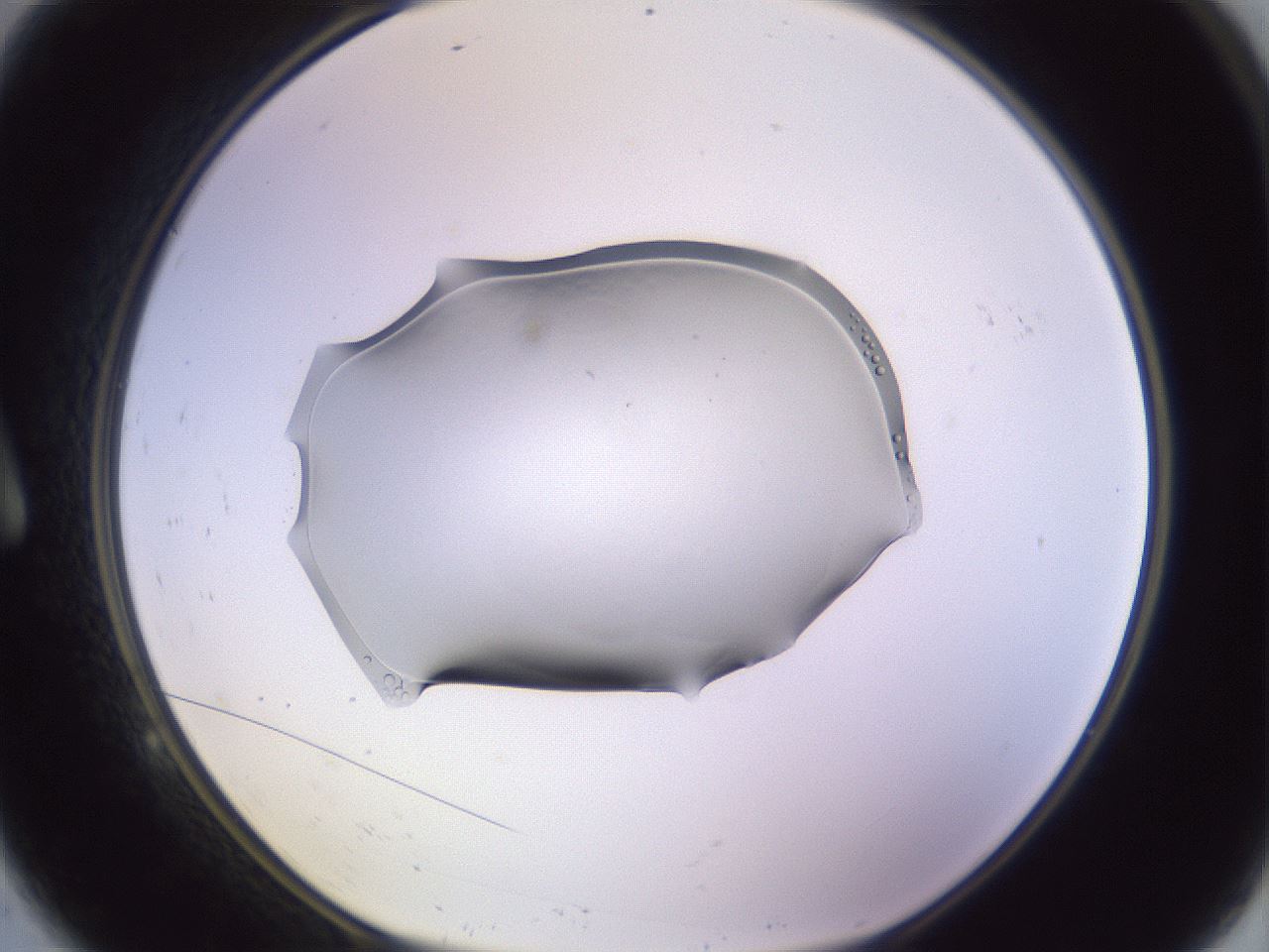 folderID603_plateID1603_batchID6730_wellNum9_profileID1_d1_r106372_ef.jpg