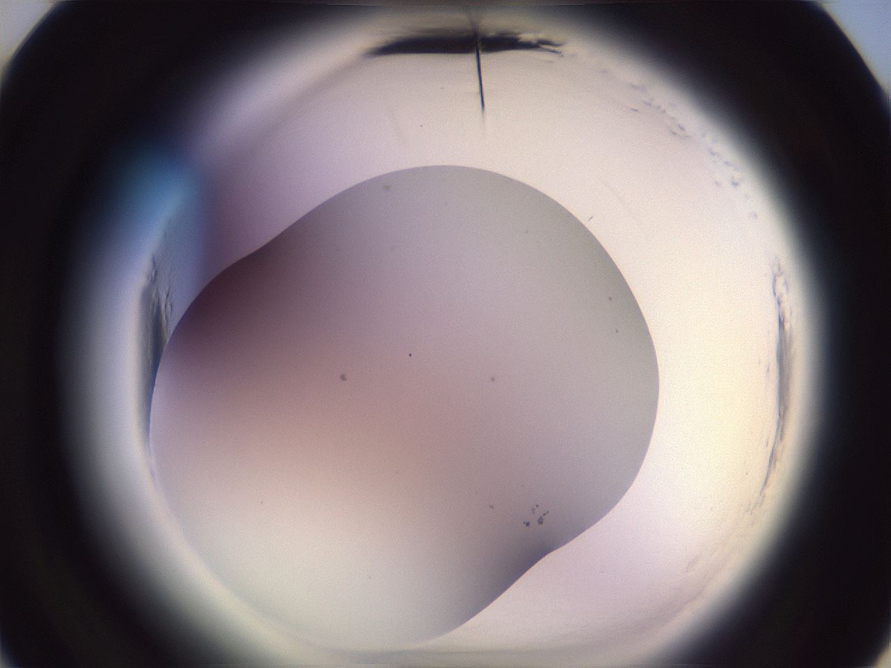 folderID603_plateID2603_batchID13168_wellNum22_profileID1_d3_r201386_ef.jpg