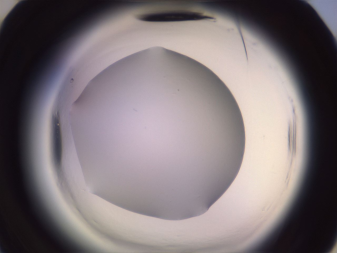 folderID603_plateID2603_batchID13168_wellNum34_profileID1_d3_r201422_ef.jpg