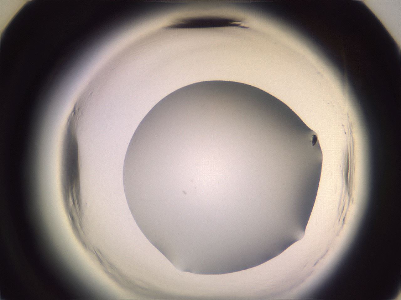 folderID603_plateID2603_batchID13168_wellNum36_profileID1_d3_r201428_ef.jpg