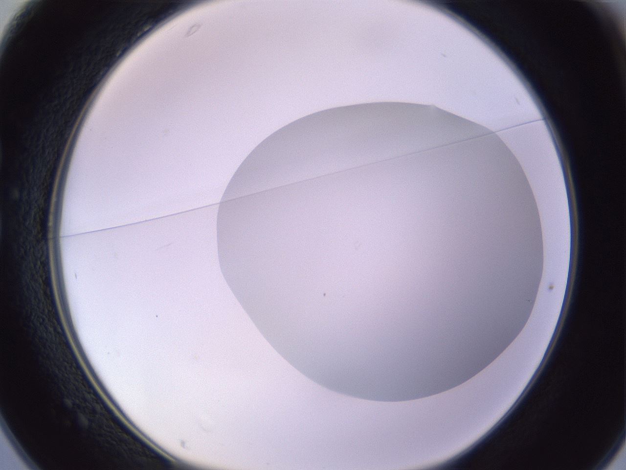 folderID604_plateID1604_batchID6727_wellNum25_profileID1_d1_r105828_ef.jpg