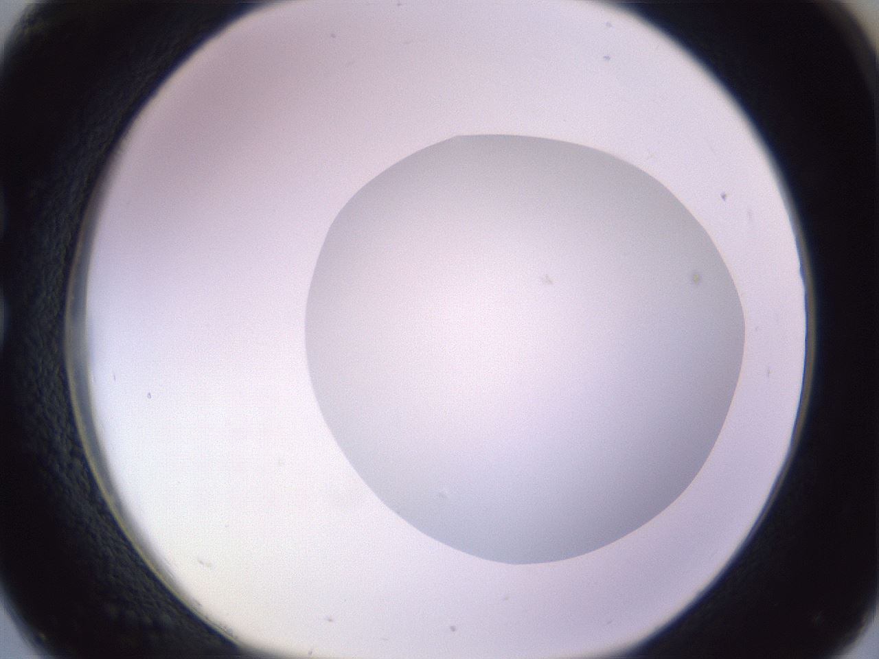 folderID604_plateID1604_batchID6727_wellNum26_profileID1_d1_r105830_ef.jpg