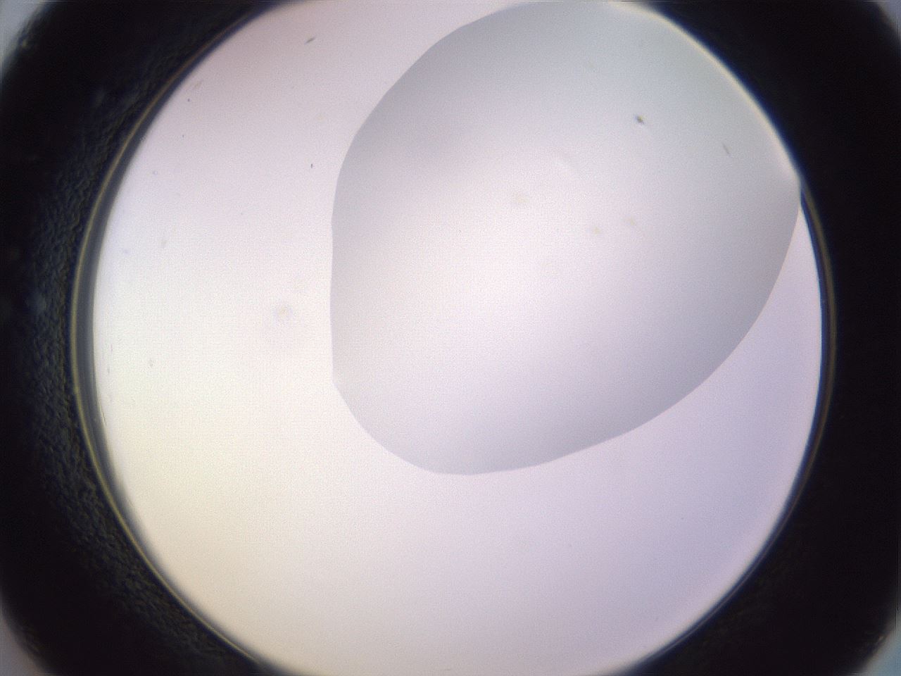folderID604_plateID1604_batchID6727_wellNum26_profileID1_d2_r105831_ef.jpg