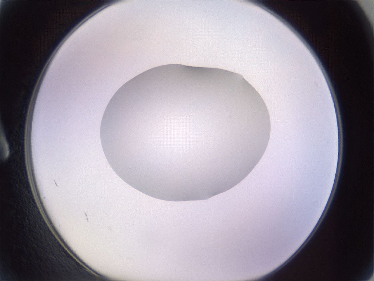folderID604_plateID1604_batchID6727_wellNum2_profileID1_d1_r105782_ef.jpg