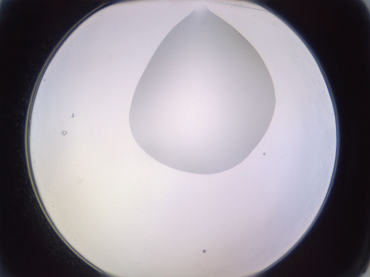 folderID604_plateID1604_batchID6727_wellNum2_profileID1_d2_r105783_ef.jpg