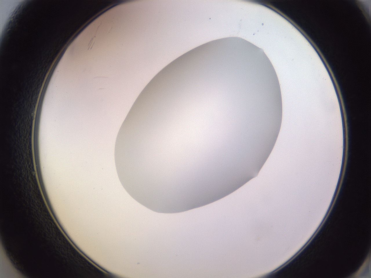 folderID604_plateID1604_batchID6727_wellNum49_profileID1_d2_r105877_ef.jpg