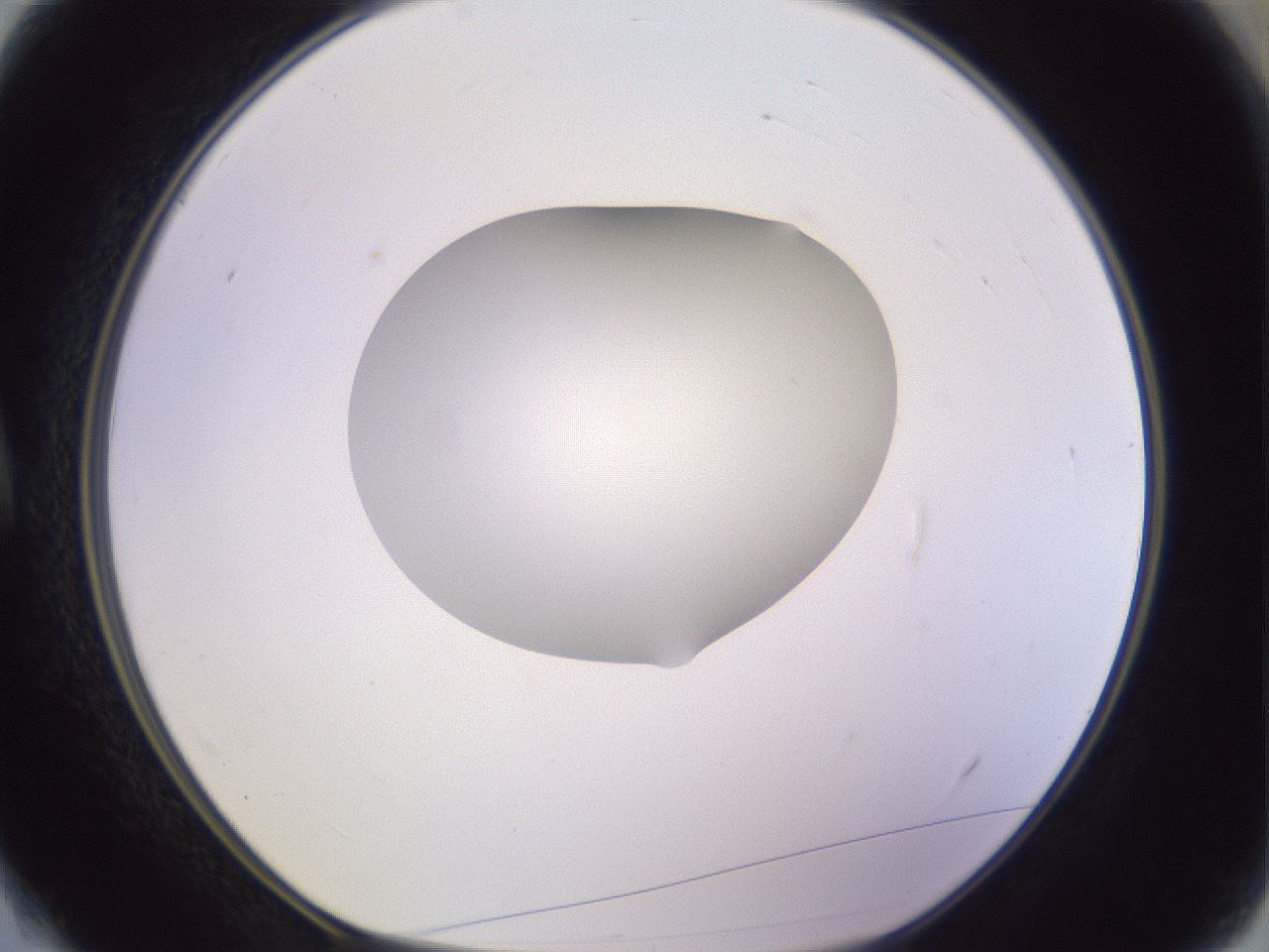 folderID604_plateID1604_batchID6727_wellNum4_profileID1_d1_r105786_ef.jpg