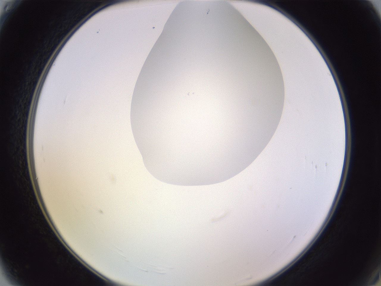 folderID604_plateID1604_batchID6727_wellNum4_profileID1_d2_r105787_ef.jpg