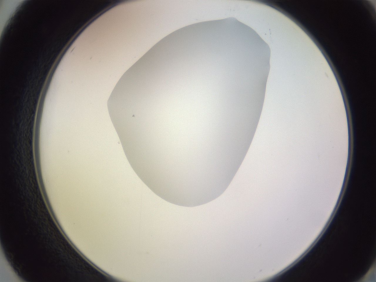 folderID604_plateID1604_batchID6727_wellNum50_profileID1_d2_r105879_ef.jpg