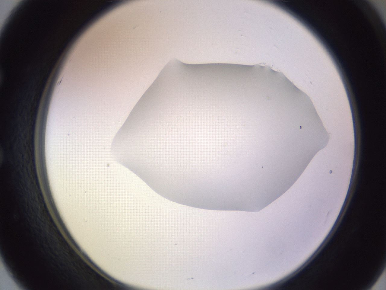 folderID604_plateID1604_batchID6727_wellNum51_profileID1_d1_r105880_ef.jpg