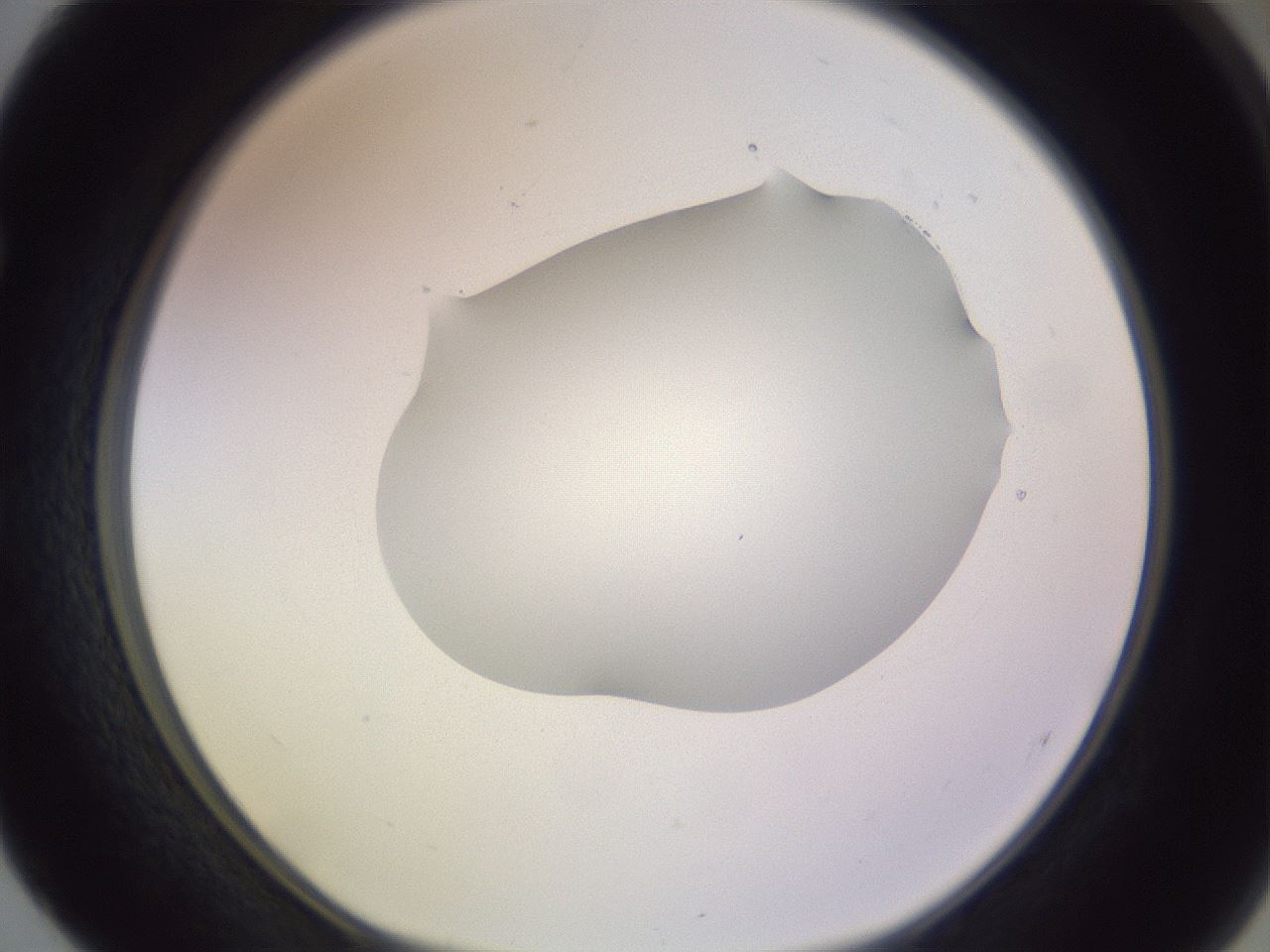 folderID604_plateID1604_batchID6727_wellNum52_profileID1_d1_r105882_ef.jpg