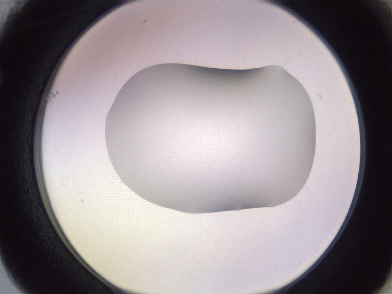folderID604_plateID1604_batchID6727_wellNum61_profileID1_d1_r105900_ef.jpg