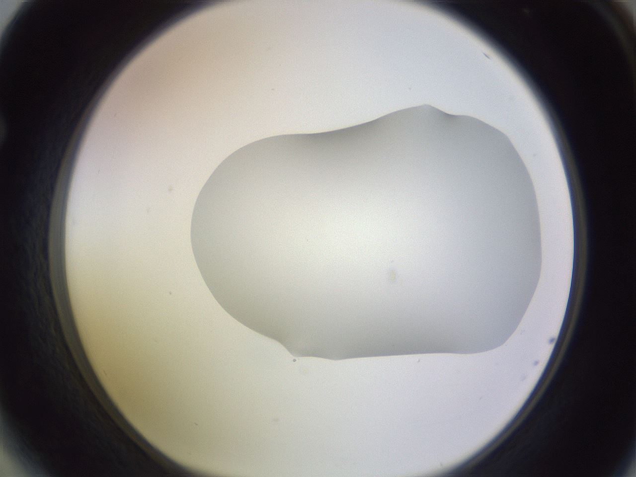 folderID604_plateID1604_batchID6727_wellNum64_profileID1_d1_r105906_ef.jpg