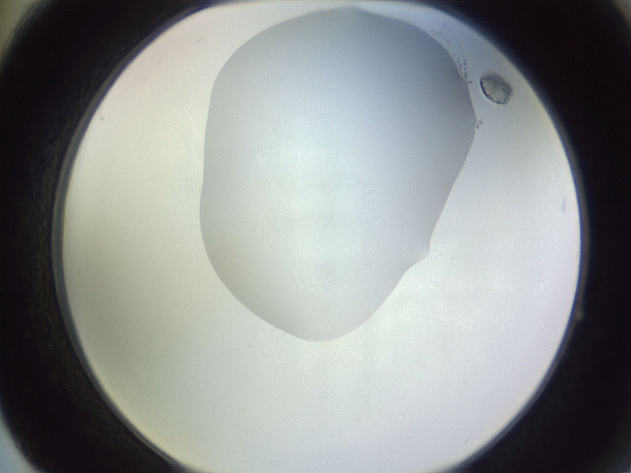 folderID604_plateID1604_batchID6727_wellNum64_profileID1_d2_r105907_ef.jpg