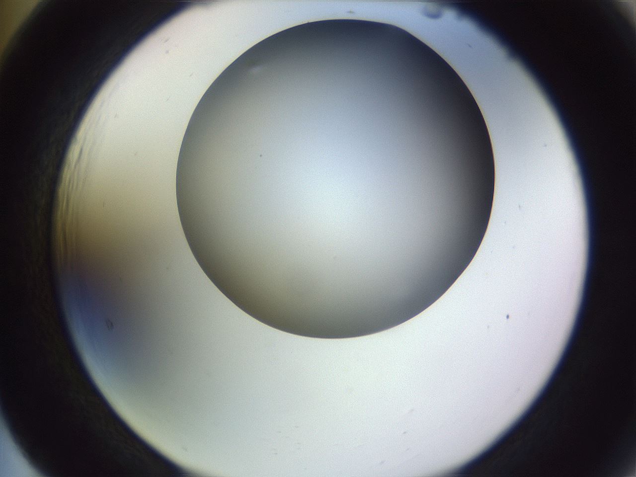 folderID604_plateID1604_batchID6727_wellNum65_profileID1_d2_r105909_ef.jpg