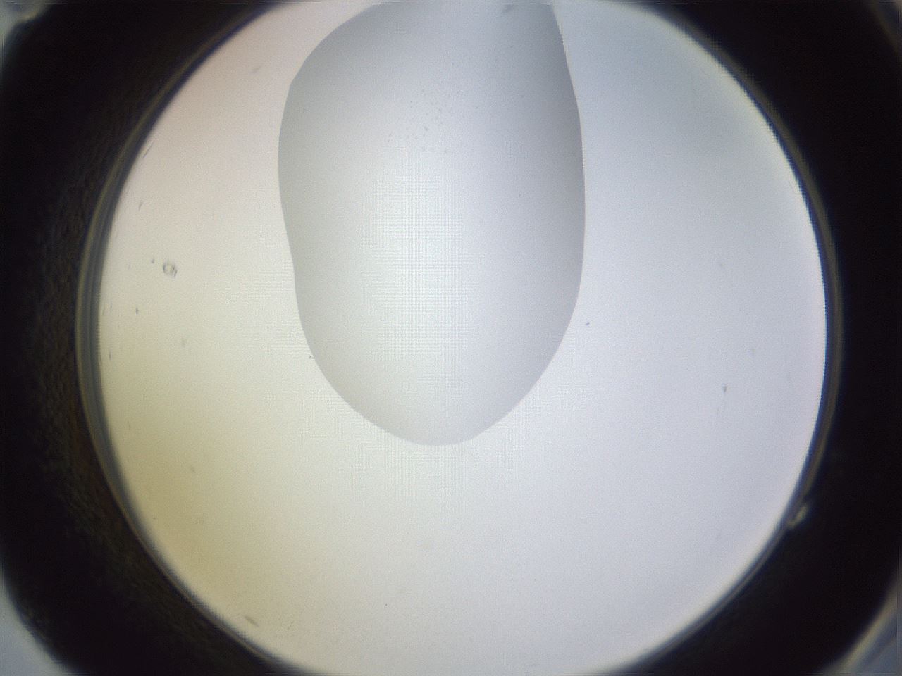 folderID604_plateID1604_batchID6727_wellNum83_profileID1_d2_r105945_ef.jpg