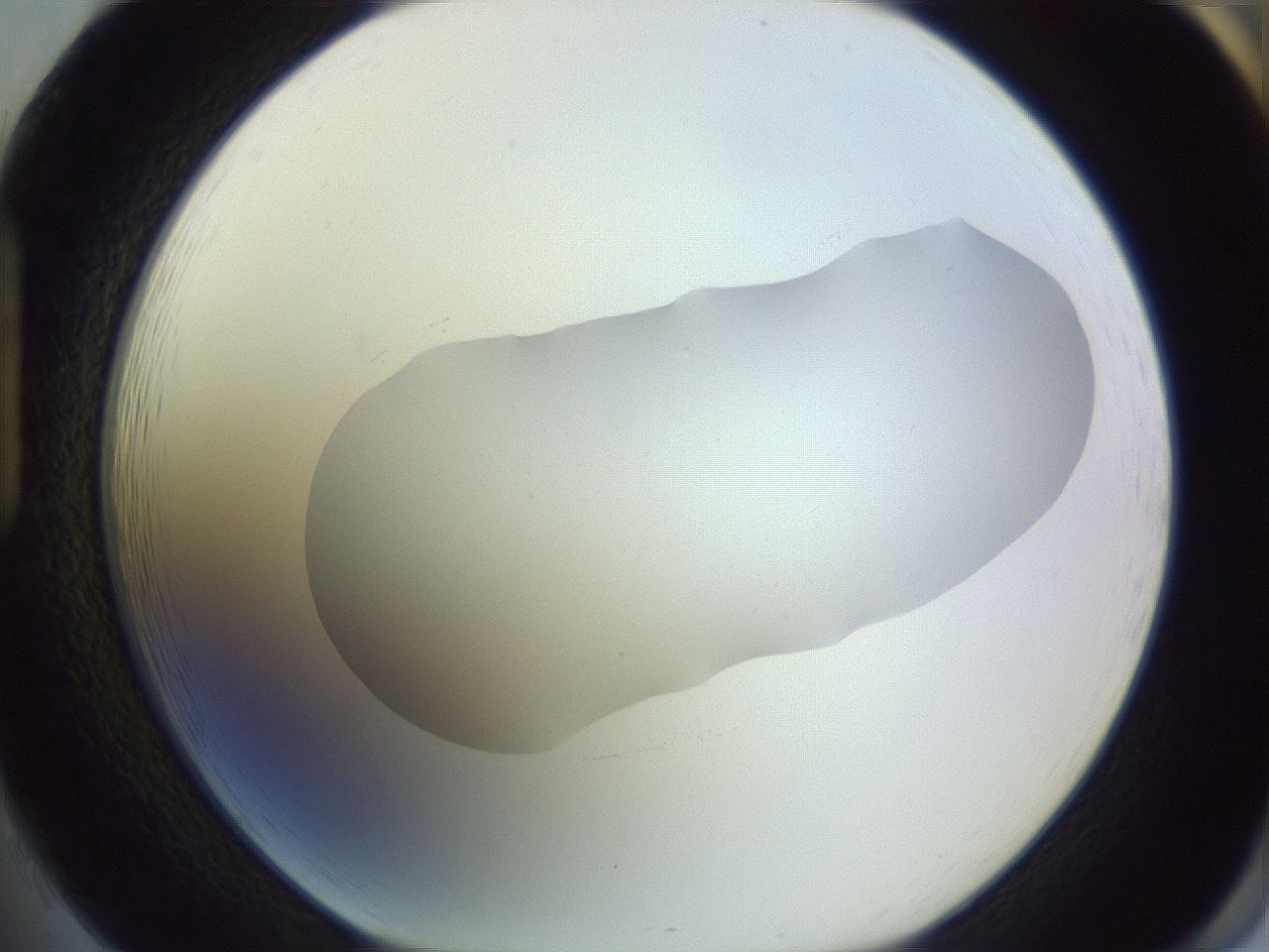 folderID604_plateID1604_batchID6727_wellNum85_profileID1_d1_r105948_ef.jpg