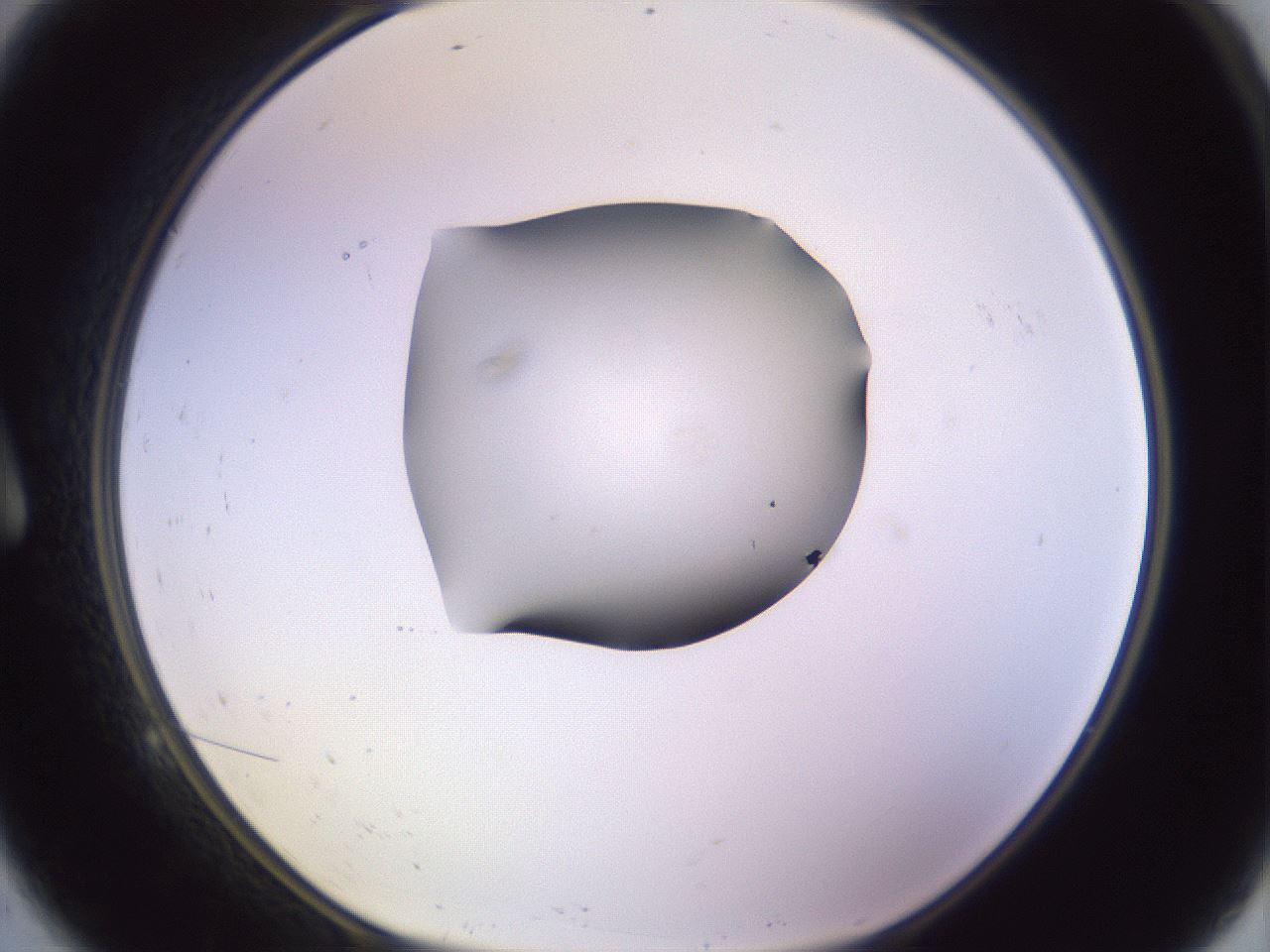 folderID604_plateID1604_batchID6727_wellNum9_profileID1_d1_r105796_ef.jpg