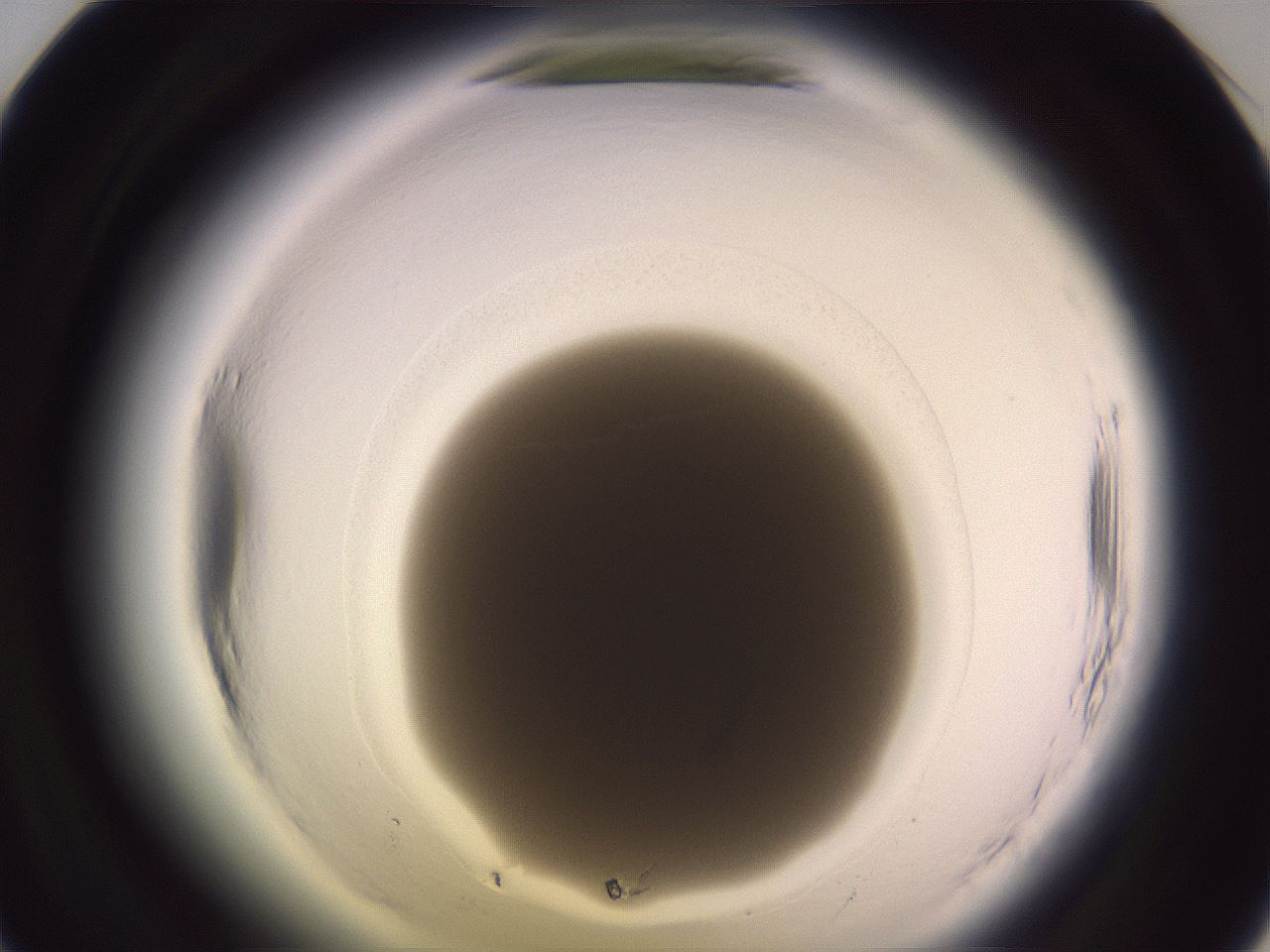 folderID607_plateID2607_batchID13180_wellNum36_profileID1_d1_r204595_ef.jpg