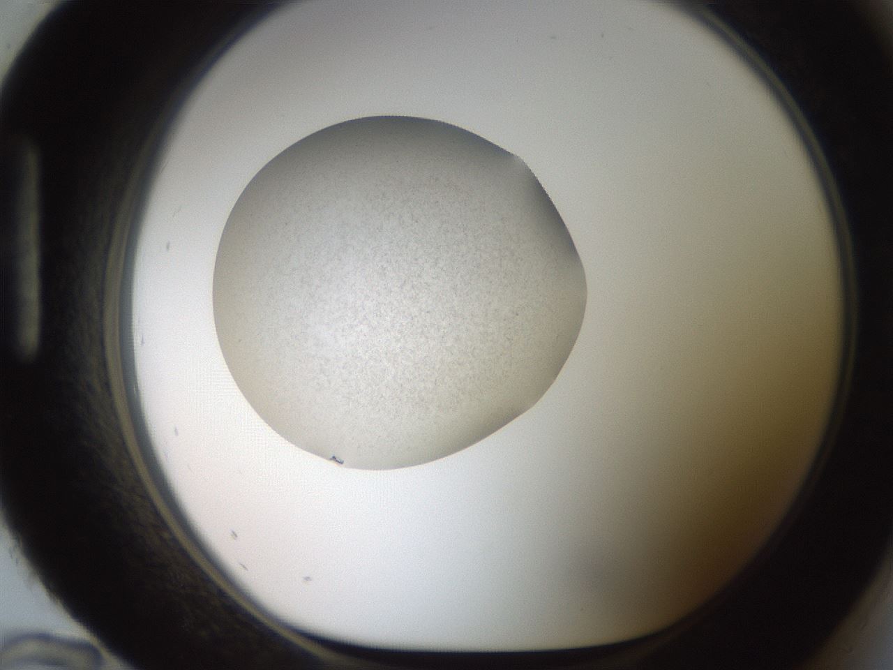folderID620_plateID1620_batchID6748_wellNum96_profileID1_d1_r108150_ef.jpg