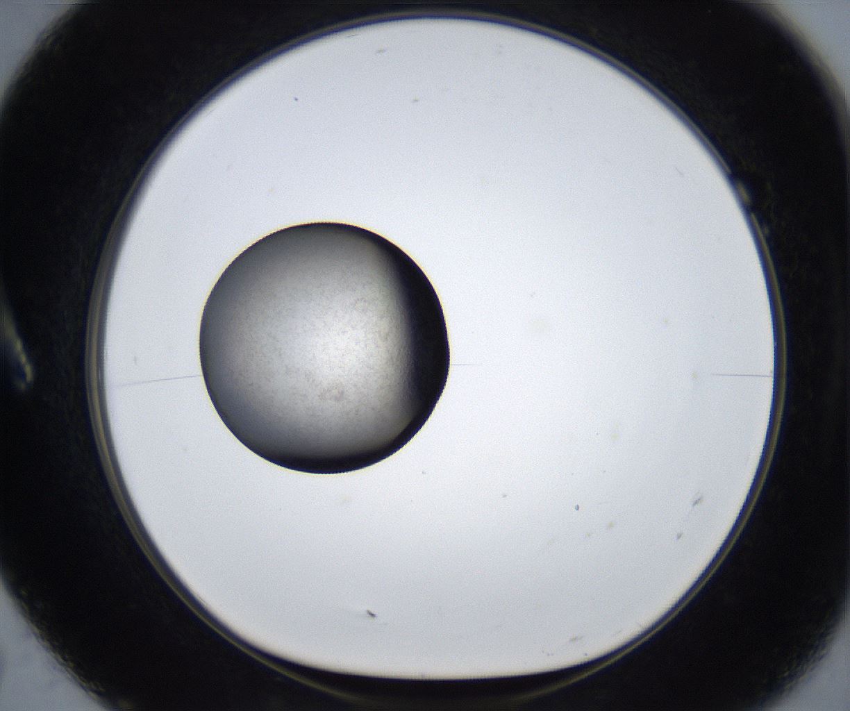 folderID625_plateID2625_batchID13252_wellNum7_profileID1_d1_r208246_ef.jpg