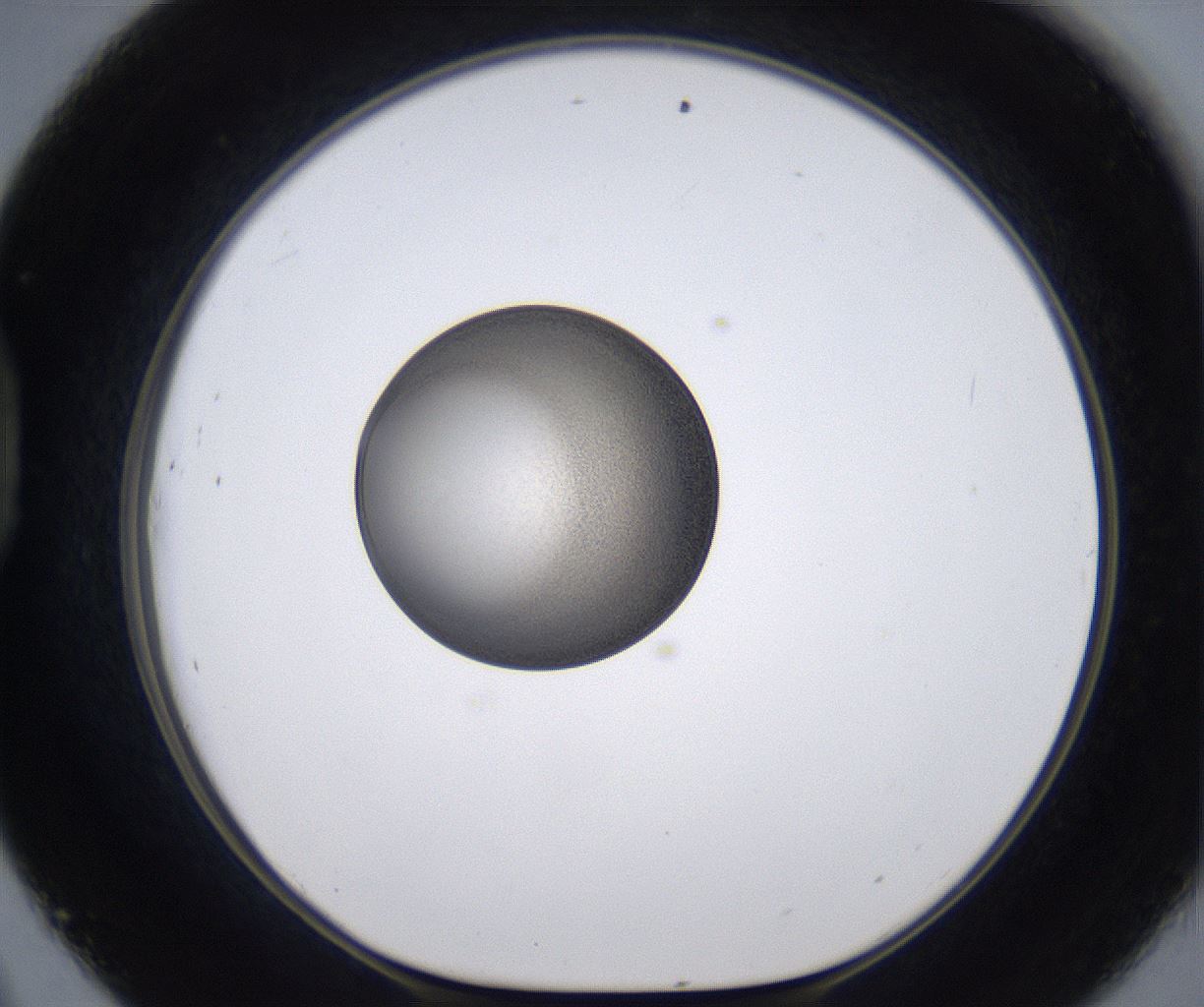 folderID211_plateID2211_batchID10045_wellNum45_profileID1_d1_r150415_ef.jpg