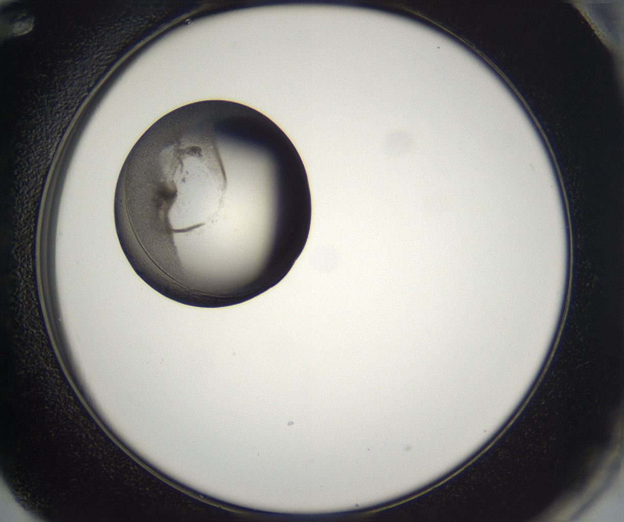 folderID214_plateID2214_batchID10055_wellNum72_profileID1_d2_r151814_ef.jpg